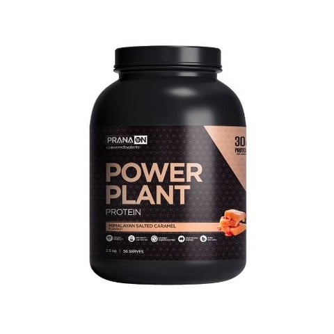 Prana Power Plant Protein