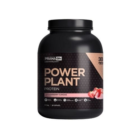 Prana Power Plant Protein